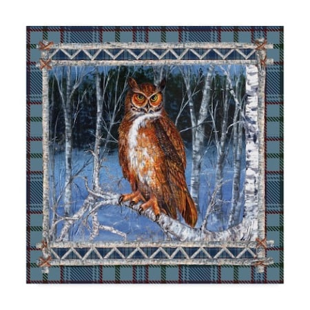 Sher Sester 'Birch Frame Plaid Owl' Canvas Art,18x18